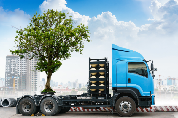 Trees for Transport Initiative